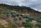 Terreno no urbanizable en venta en la España, Quéntar, ref: TR314710 foto