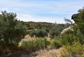 Valdealgorfa 20&nbsp;m²