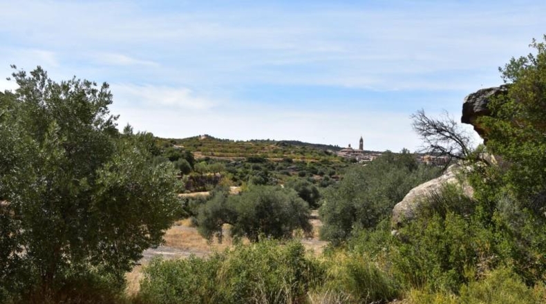 Teruel - Valdealgorfa - 20m2