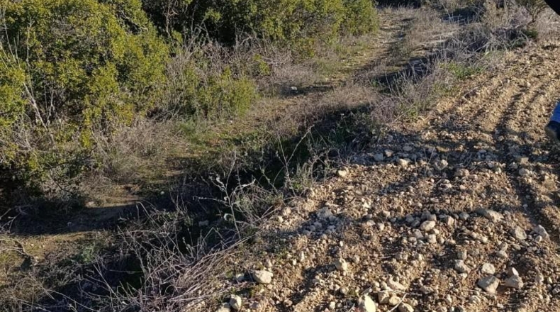 Murcia - Bullas - 11000m2