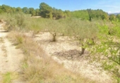 Terreno no urbanizable en venta en la España, Ontinyent, ref: TR387330 foto