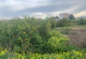 Terreno no urbanizable en venta en la España, Murcia, ref: TR380028 foto