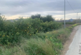 Murcia 2300&nbsp;m²