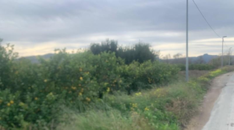 Murcia - Murcia - 2300m2