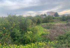 Murcia 2300&nbsp;m²