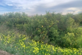 Murcia 2300&nbsp;m²