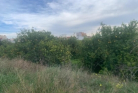 Murcia 2300&nbsp;m²