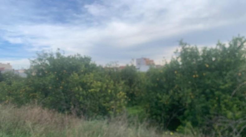 Murcia - Murcia - 2300m2