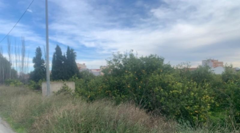 Murcia - Murcia - 2300m2