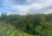 Terreno no urbanizable en venta en la España, Murcia, ref: TR380028 foto