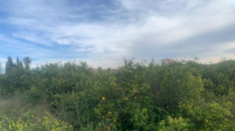 Murcia - Murcia - 2300m2