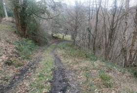 Foto 14