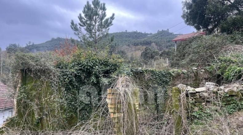 Pontevedra - Puenteareas - 710m2