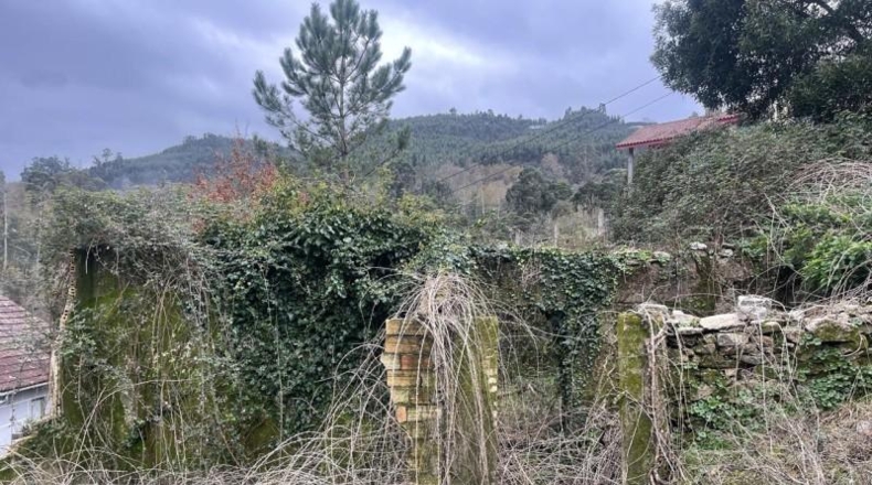 Pontevedra - Ponteareas - 710m2