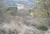 Suelo urbano en venta en la España, Moclín, ref: TR249694 foto