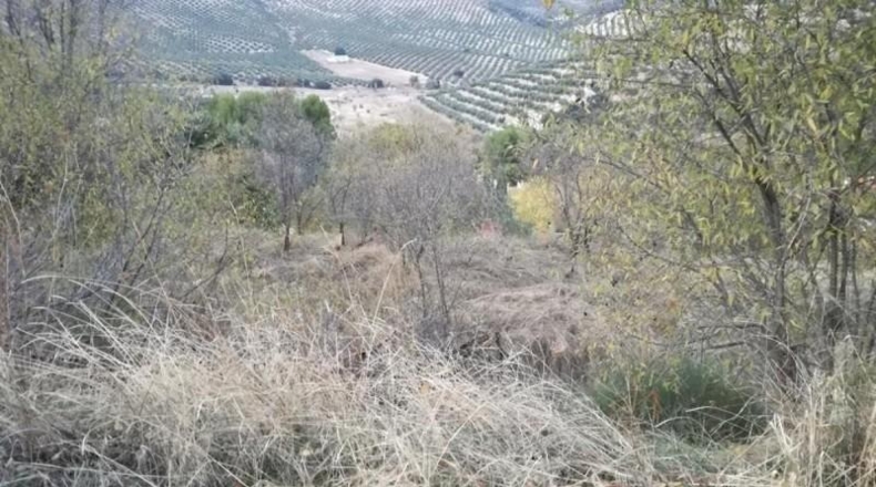 Granada - Moclín - 528m2