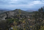 Suelo urbano en venta en la España, Moclín, ref: TR249694 foto
