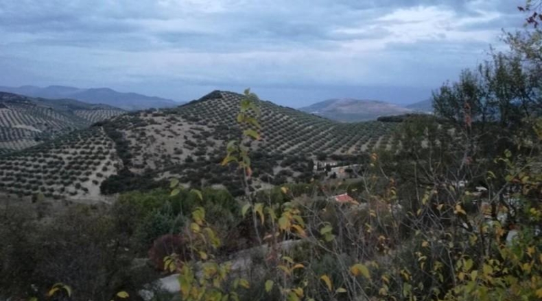 Granada - Moclín - 528m2