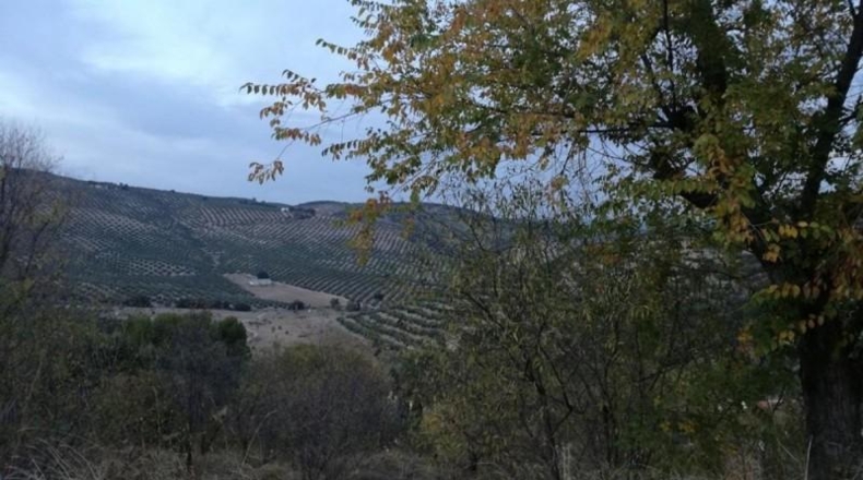 Granada - Moclín - 528m2