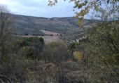 Suelo urbano en venta en la España, Moclín, ref: TR249694 foto