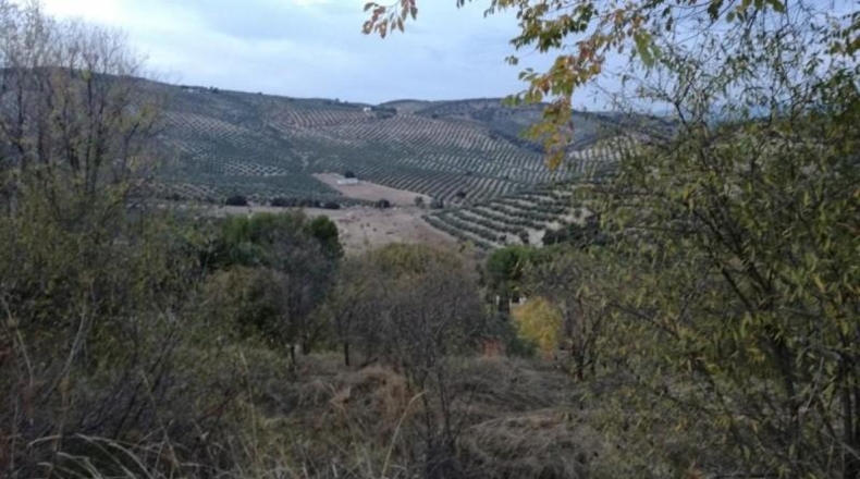 Granada - Moclín - 528m2