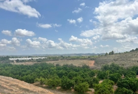 Foto 11
