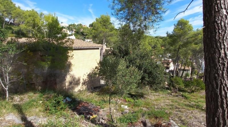 Barcelona - Olivella - 753m2