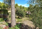 Suelo urbano en venta en la España, Olivella, ref: TR335296 foto