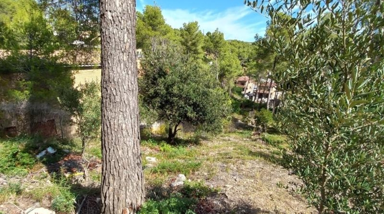 Barcelona - Olivella - 753m2