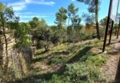 Suelo urbano en venta en la España, Olivella, ref: TR335296 foto