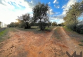 Non-developable land for sale on España, Arahal, ref: TR125592 photo