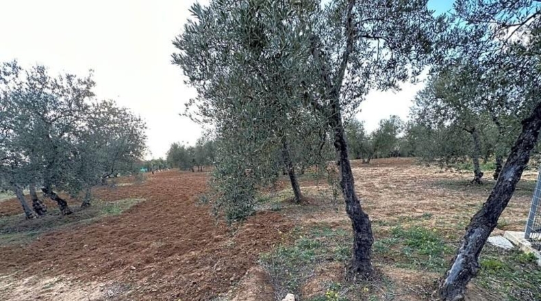 Sevilla - Arahal - 3600m2