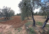 Non-developable land for sale on España, Arahal, ref: TR125592 photo