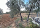 Non-developable land for sale on España, Arahal, ref: TR125592 photo