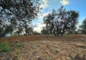 Non-developable land for sale on España, Arahal, ref: TR125592 photo