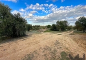 Non-developable land for sale on España, Arahal, ref: TR125592 photo