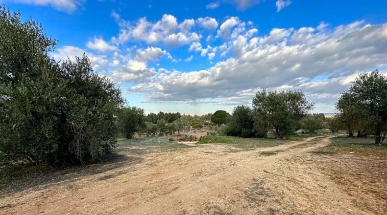 Sevilla - Arahal - 3600m2