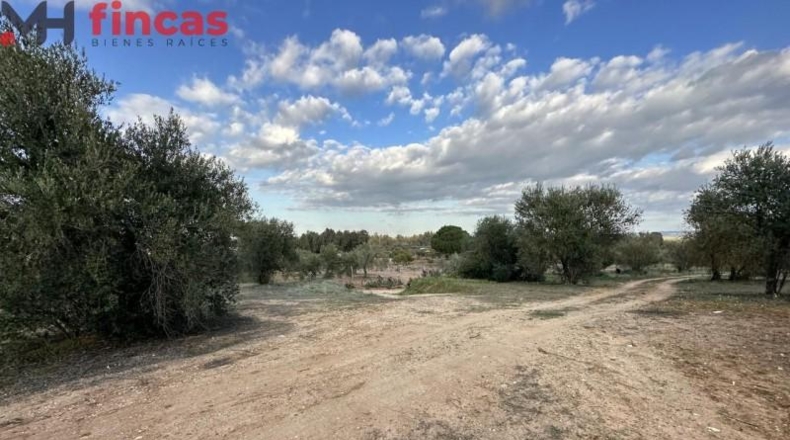 Хаэн - Andújar - 3600m2