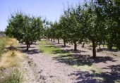 Terreno no urbanizable en venta en la España, Cehegín, ref: TR119422 foto