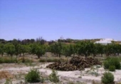 Terreno no urbanizable en venta en la España, Cehegín, ref: TR119422 foto