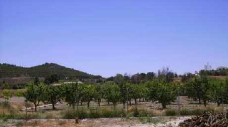 Múrcia - Cehegín - 2600m2