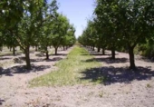 Terreno no urbanizable en venta en la España, Cehegín, ref: TR119422 foto