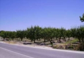 Terreno no urbanizable en venta en la España, Cehegín, ref: TR119422 foto