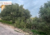 Suelo urbano en venta en la España, Alberic, ref: TR119744 foto