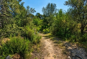 Foto 17