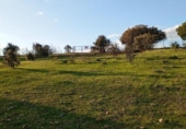 Parcela urbanizable en venta en la España, Badajoz, ref: TR393075 foto