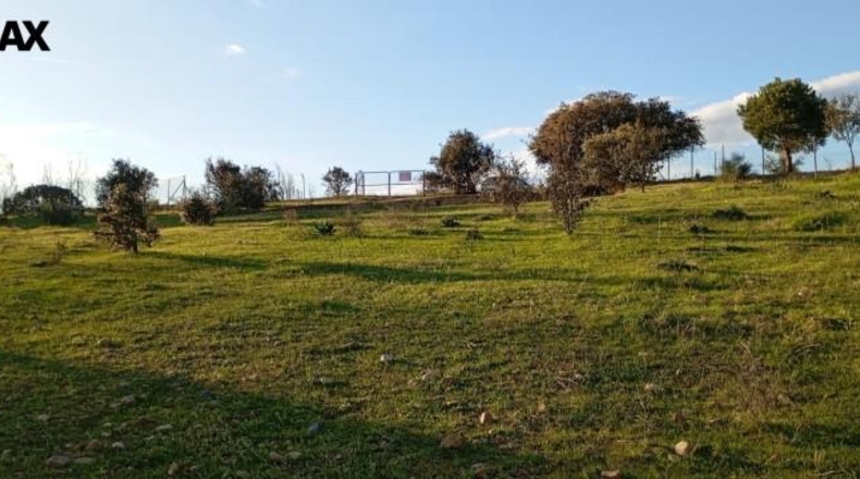 Badajoz - Badajoz - 25000m2