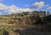 Terreno no urbanizable en venta en la España, Benigànim, ref: TR320616 foto
