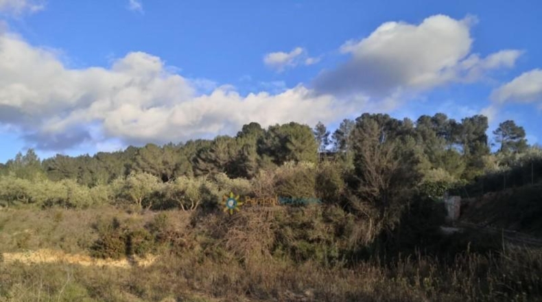 Valencia - Benigánim - 2273m2