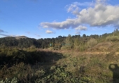 Terreno no urbanizable en venta en la España, Benigànim, ref: TR320616 foto